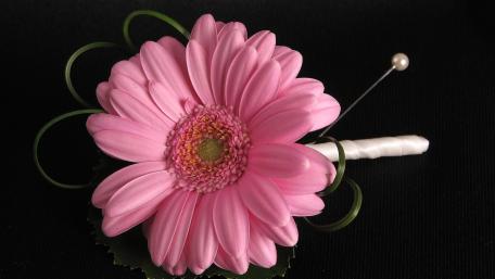 Elegant Pink Flower for a Sophisticated Touch wallpaper