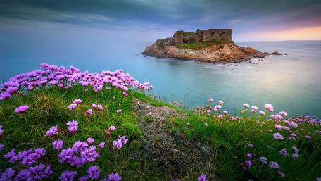 Blooming Ruins Amidst Serene Waters wallpaper