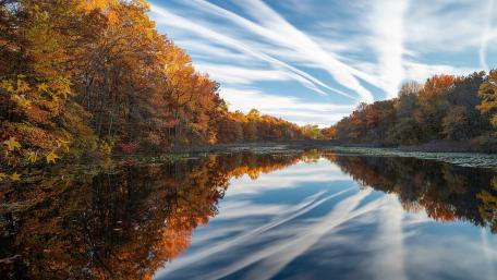 Autumn Bliss in Nature's Mirror wallpaper