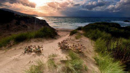 Sunlit Shoreline Escape wallpaper
