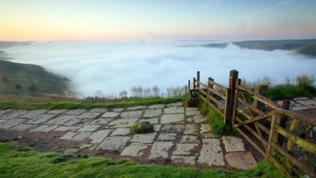 Serene Morning Mist Over Rolling Hills wallpaper