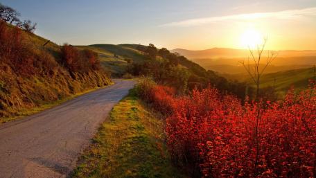 Serene Sunset Over Rolling Hills wallpaper