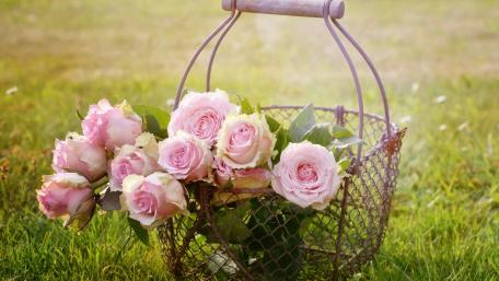 Charming Pink Roses in a Basket wallpaper