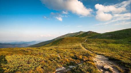Tranquil Mountain Path in Nature's Embrace wallpaper