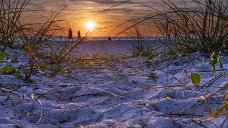 Serene Sunset Over Tranquil Beach wallpaper