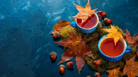Warm Autumn Tea Moments with Nature's Blessings wallpaper
