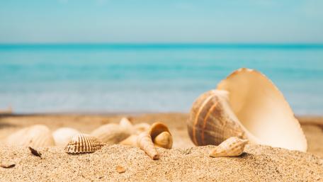 Serene Beach Escapade in 4K Resolution wallpaper