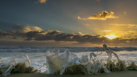 Serene Waves Under a Golden Sunset wallpaper