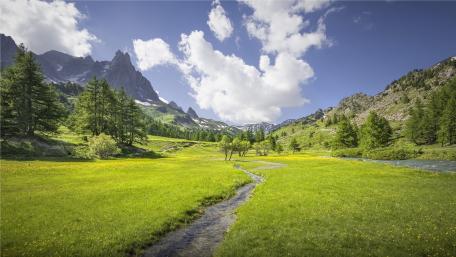 Serenity in Nature’s Embrace wallpaper