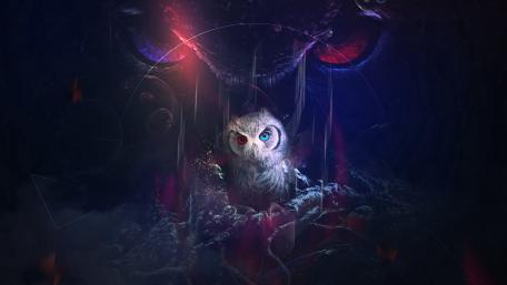 Mystical Owl Facing Dark Forces wallpaper