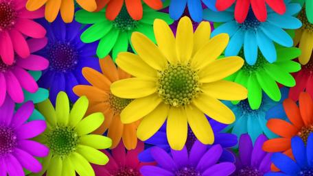 Vibrant Floral Bliss in Vivid Colors wallpaper