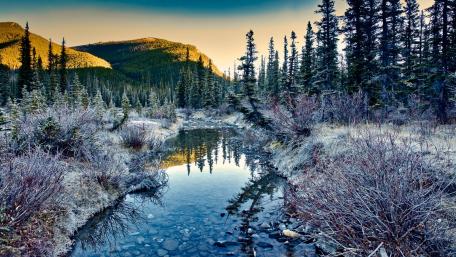 Serene Stream in a Tranquil Forest Landscape wallpaper
