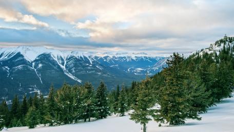 Majestic Mountain Landscape with Snowy Peaks and Evergreen Trees wallpaper