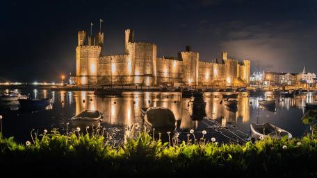 Majestic Castle Under the Night Sky wallpaper