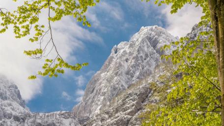 Majestic Snow-Capped Peaks and Lush Greenery wallpaper