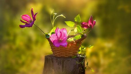 Delicate Blooms in a Woven Basket wallpaper