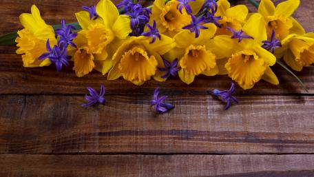 Spring Blooms on Wood Planks wallpaper