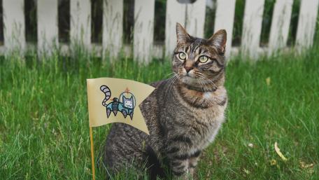 Whimsical Cat in a Playful Scene wallpaper