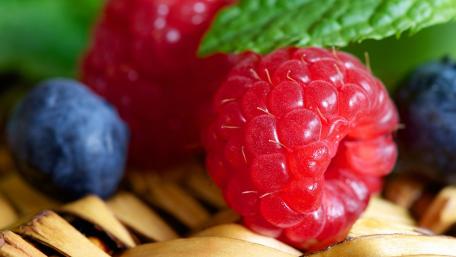 Fresh and Juicy Berries Delightful Raspberries and Blueberries in a Basket wallpaper