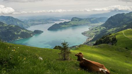 Tranquil Mountain View Overlooking a Serene Lake wallpaper