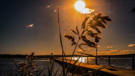 Serene Lake Pier at Sunset Glow wallpaper
