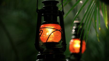 Vintage Lanterns Glow in Nature's Embrace wallpaper