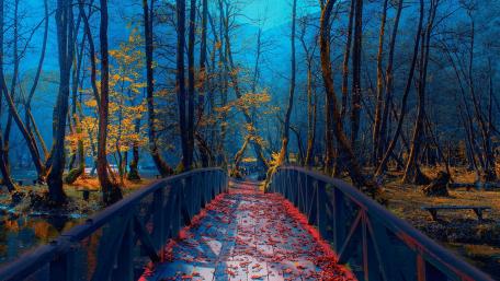 Mystical Autumn Bridge in a Tranquil Forest Setting wallpaper