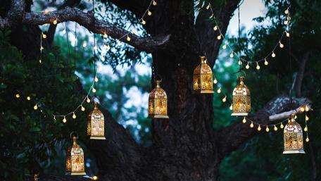 Enchanting Lanterns Adorning a Tree wallpaper