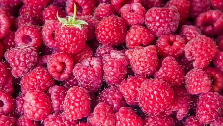 Vibrant Raspberry Abundance in 4K Quality wallpaper