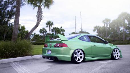 Sleek Green Sports Car Under Palm Trees wallpaper