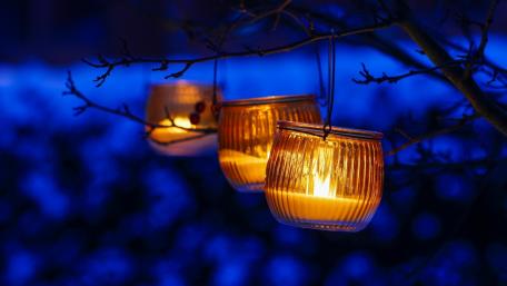 Warm Glow of Serenity in Nature wallpaper