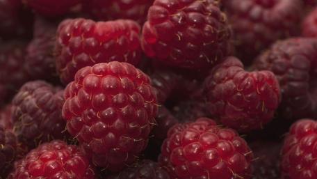 Fresh and Juicy Raspberries in a Stunning Display wallpaper