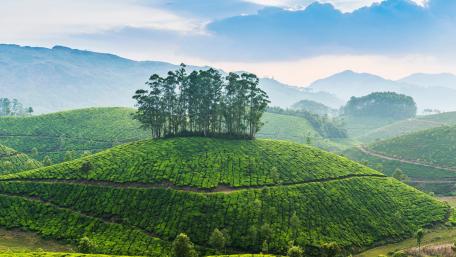 Lush Green Hills Under a Soft Sky wallpaper