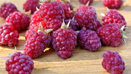 Delicious Ripe Raspberries on a Rustic Surface wallpaper