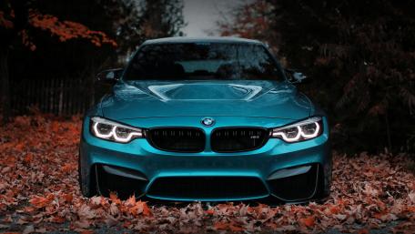 Sleek BMW in Autumn Leaves wallpaper