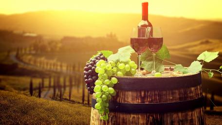 Autumn Vineyard Bliss wallpaper