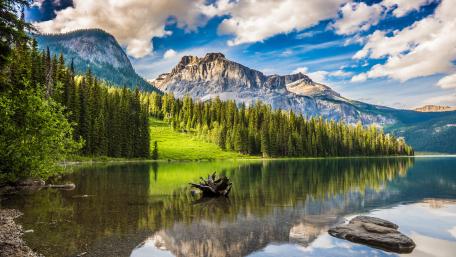 Tranquil Reflections in a Mountain Lake wallpaper