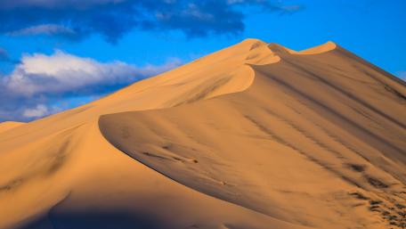 Golden Dunes Under a Blue Sky wallpaper