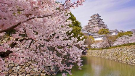 Himeji Castle wallpaper