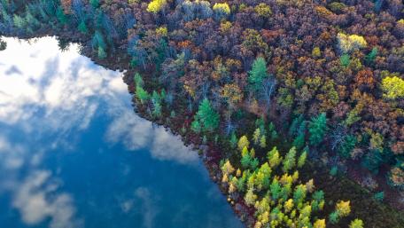 Vibrant Autumn Forest Reflections in Water wallpaper