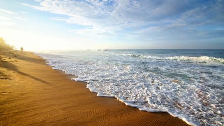 Serene Shoreline at Sunrise wallpaper