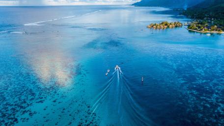 Tranquil Waters of Paradise wallpaper