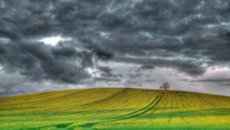 Serene Landscape under Dramatic Skies wallpaper