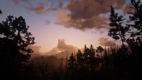 Mysterious Dusk in the Forest Landscape wallpaper