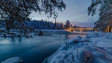 River with Forest wallpaper