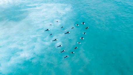 Romantic surfers wallpaper