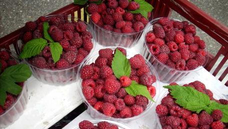 Fresh Raspberries in Clear Containers wallpaper