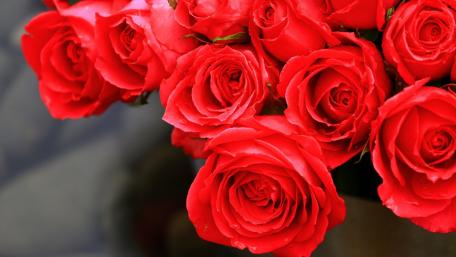 Elegant Red Roses Bouquet for Your Screen wallpaper