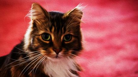 Majestic Feline Gaze Artistry wallpaper