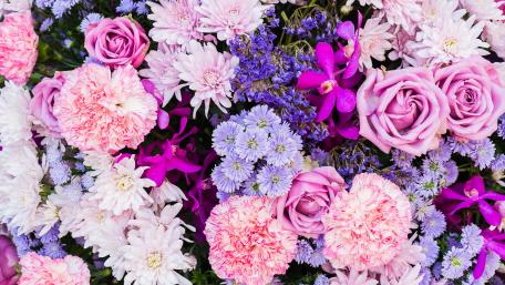 Blooming Garden of Vibrant Florals wallpaper